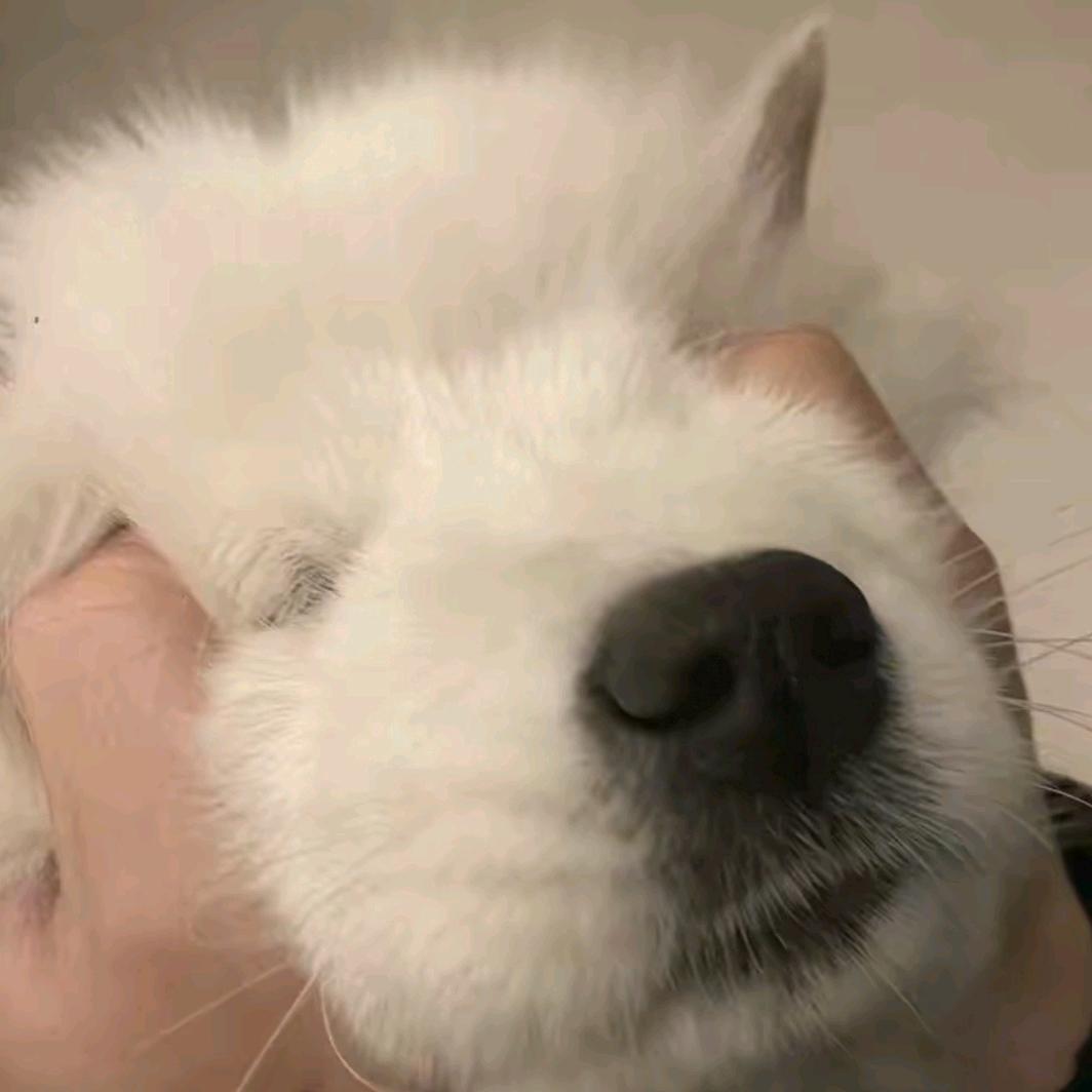 江南韵