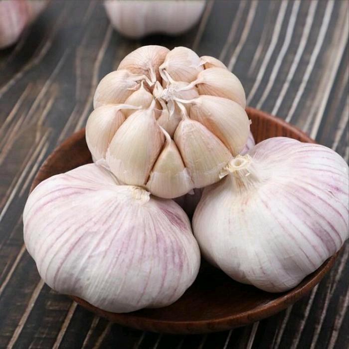 大蒜源头供应链