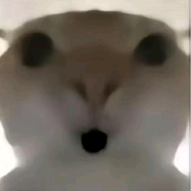 鼠鼠想出心