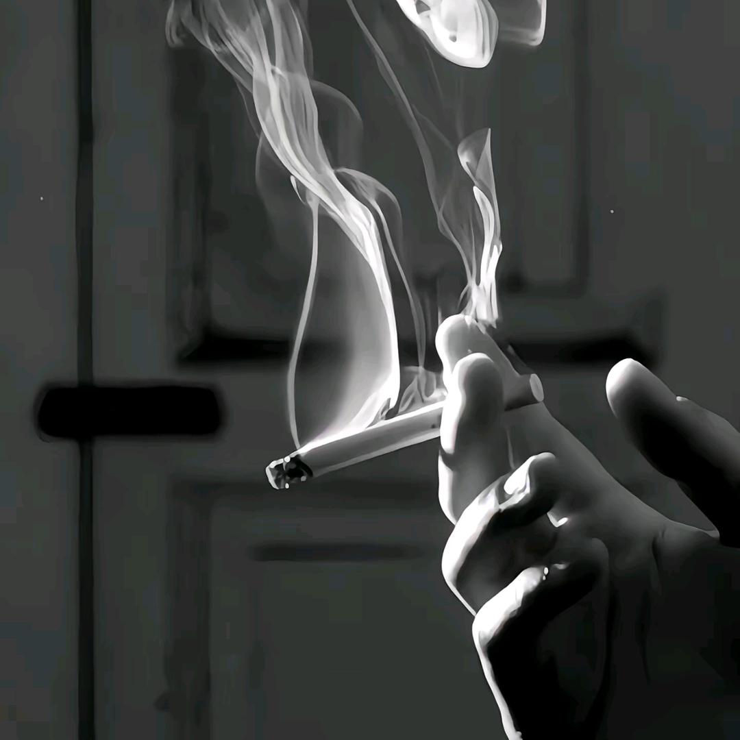 🇨🇳射手座灬
