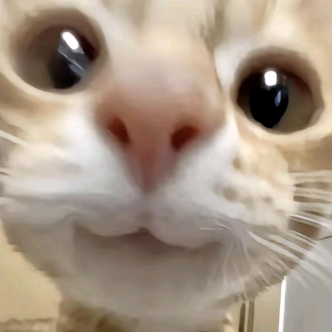 𝐸𝑡𝑒𝑟𝑛𝑖𝑡𝑦椰蓉
