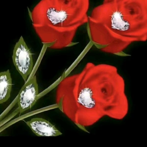 🌹🌹