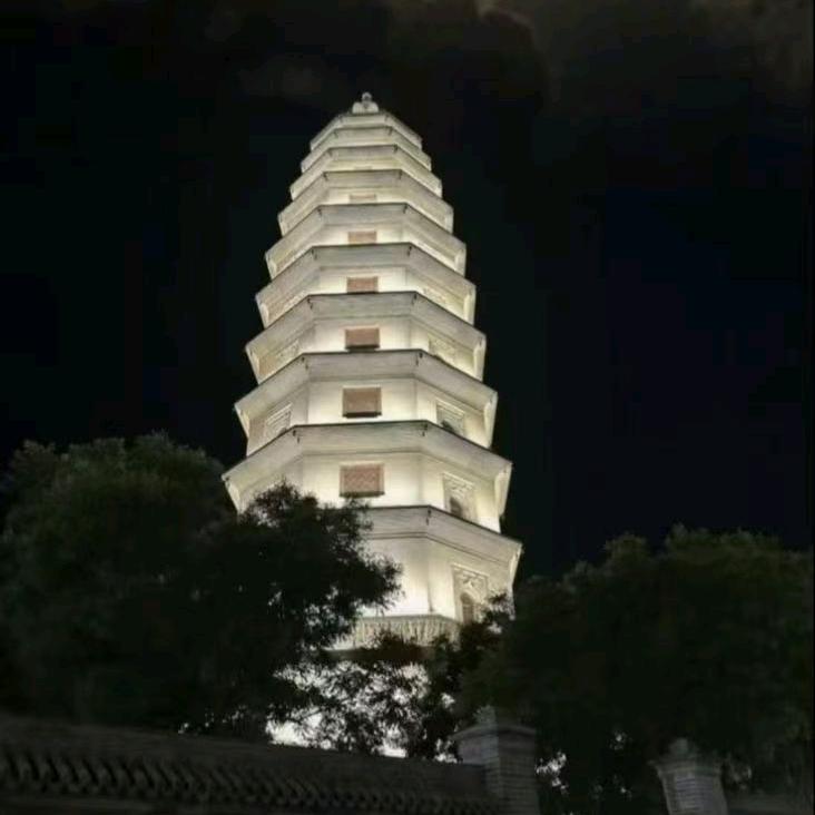 🐬🐳寂寞一九八一🐳🐬