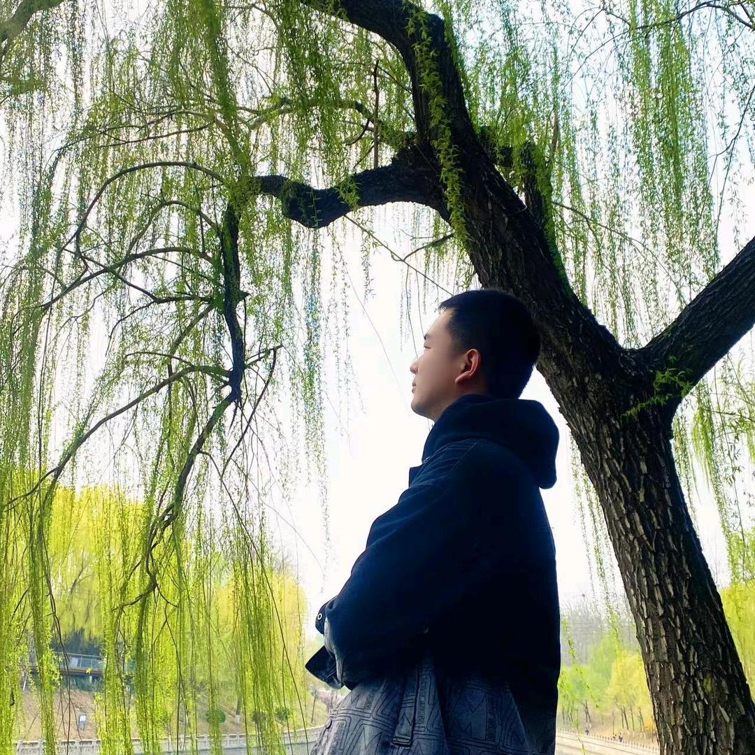 马铃薯的粉