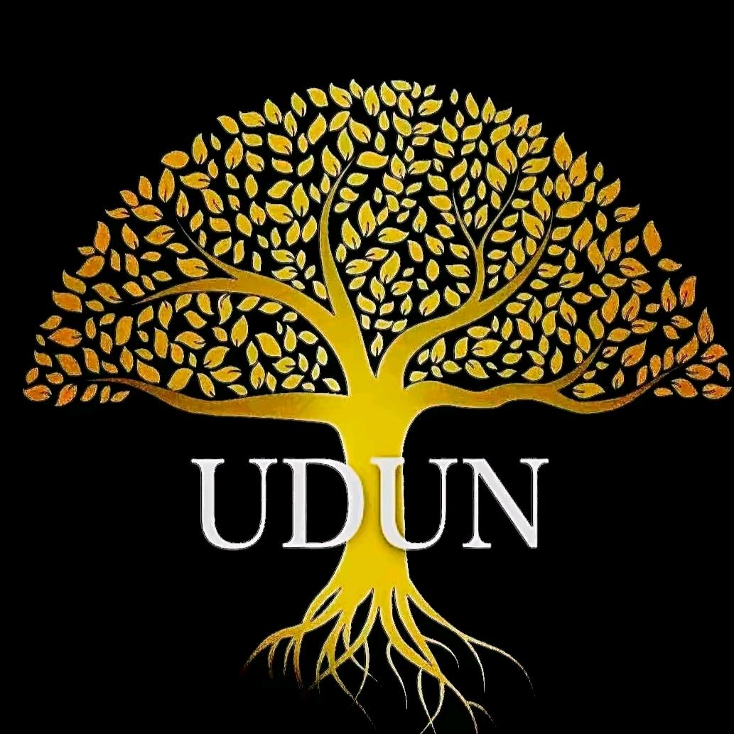 udun-2888