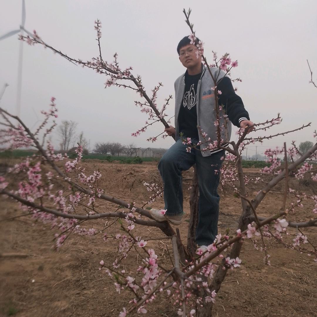 年轻的心