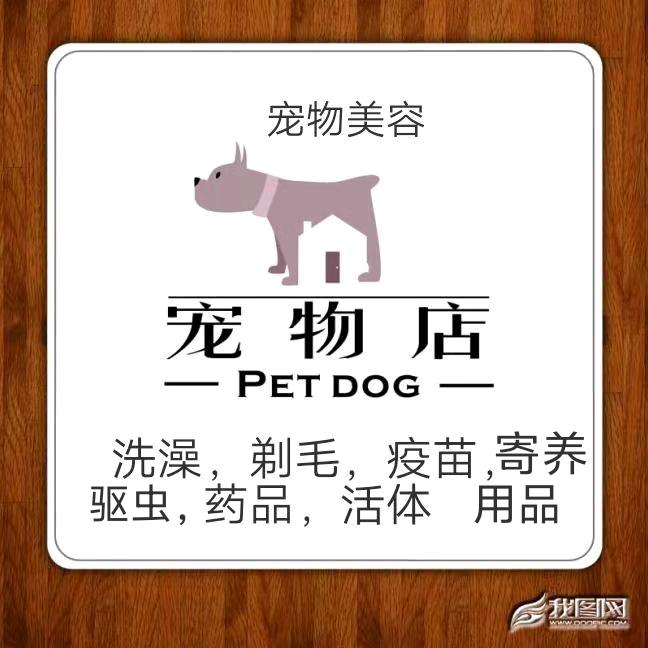 上蔡一小宠物店（收猫收狗）