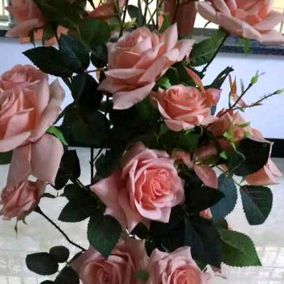 人生若如初相见