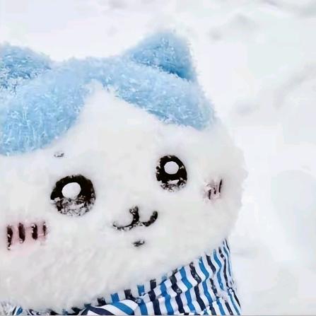 下雪季