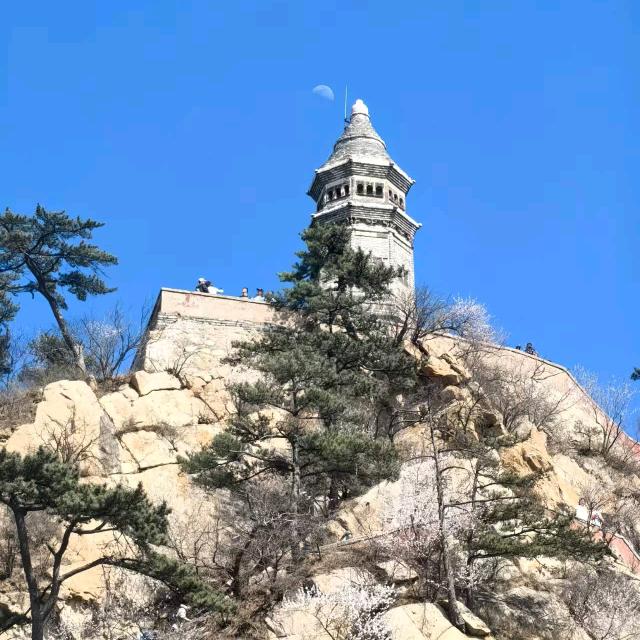 小阿雄