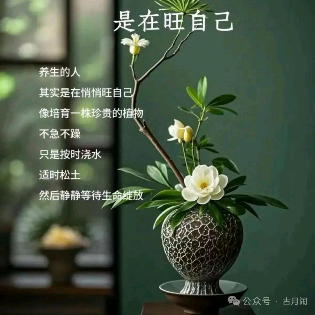 健康最重要，免费交直播