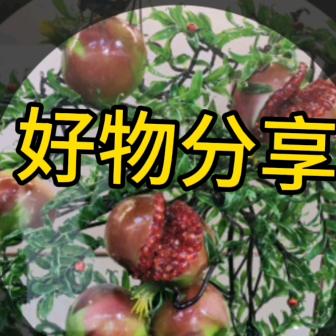 好物分享官129