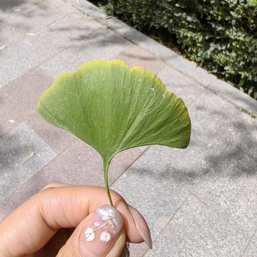嗨@张小张