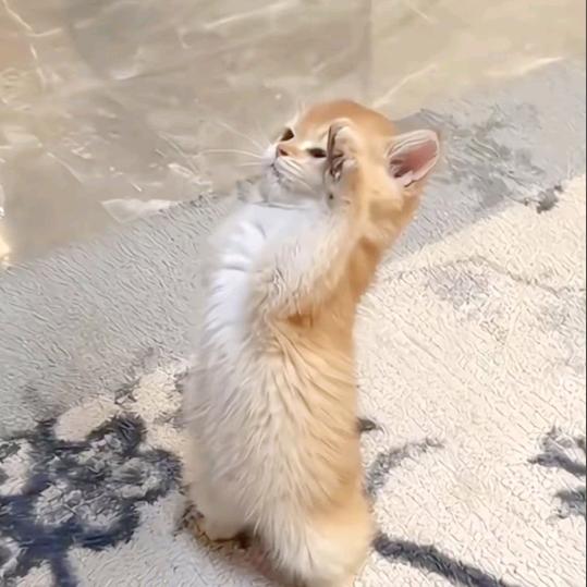 眰恦_（
