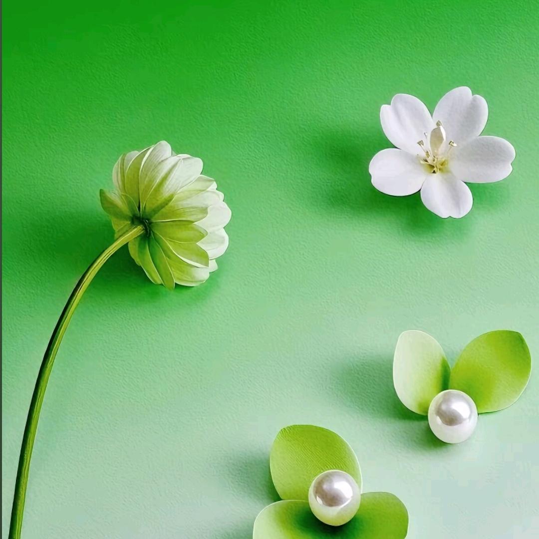 红鹦鹉济南泰安莱芜-瓶瓶