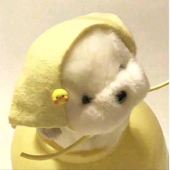 哈喽嘻嘻缘远