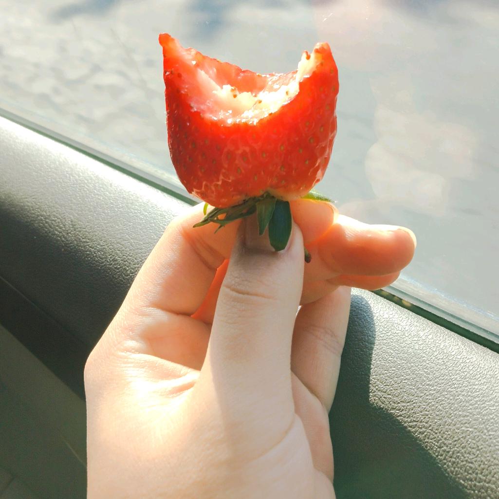 茶几子头像