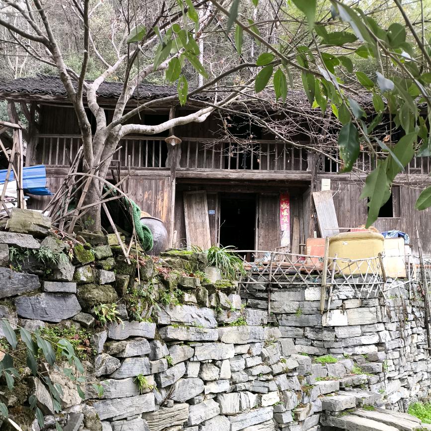 费霞山货