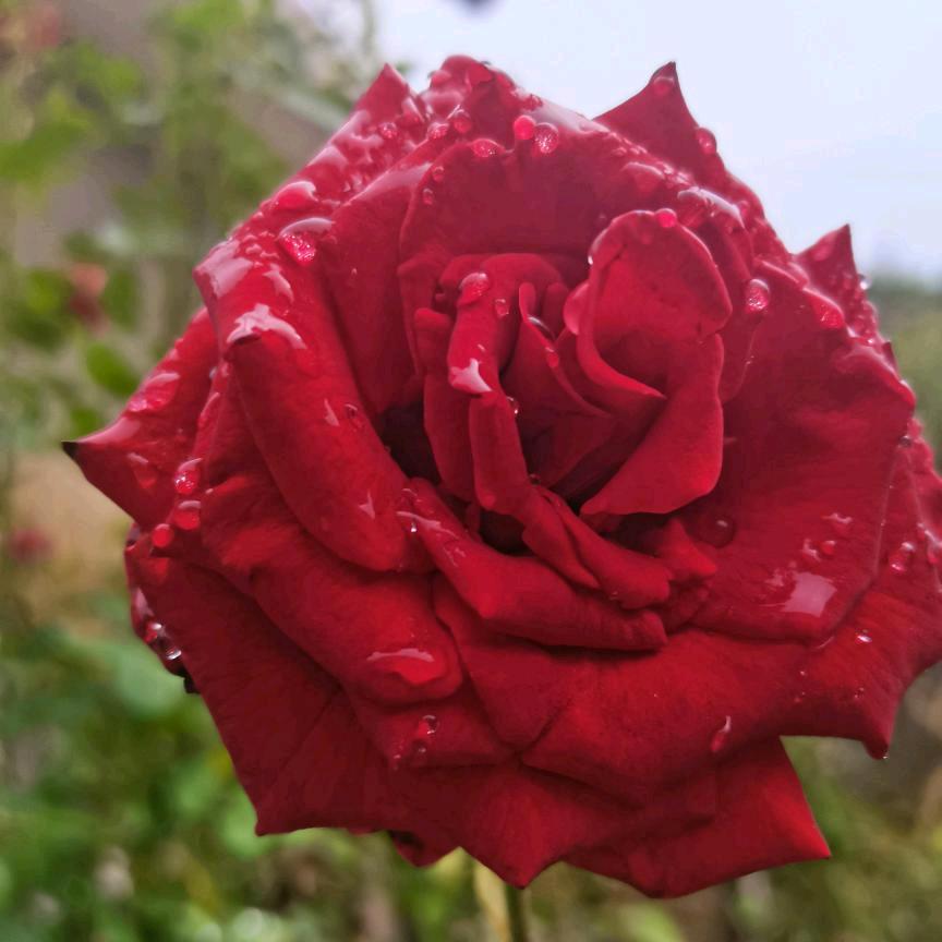 ꧔ꦿ᭄善待💞自己❥꧔ꦿ᭄