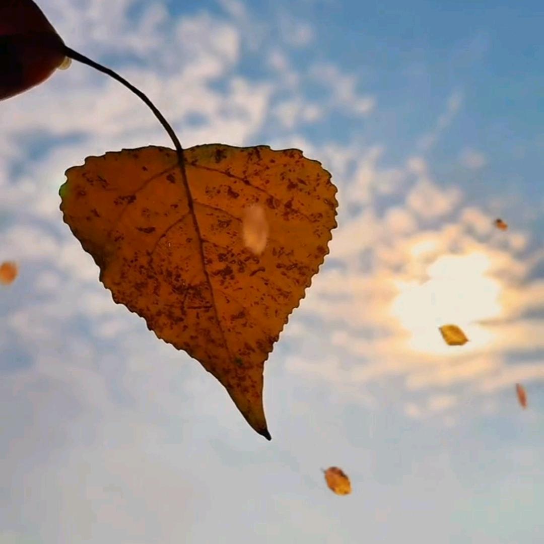 ꦿ小꧔ꦿ黑᭄妹࿐ᩚ