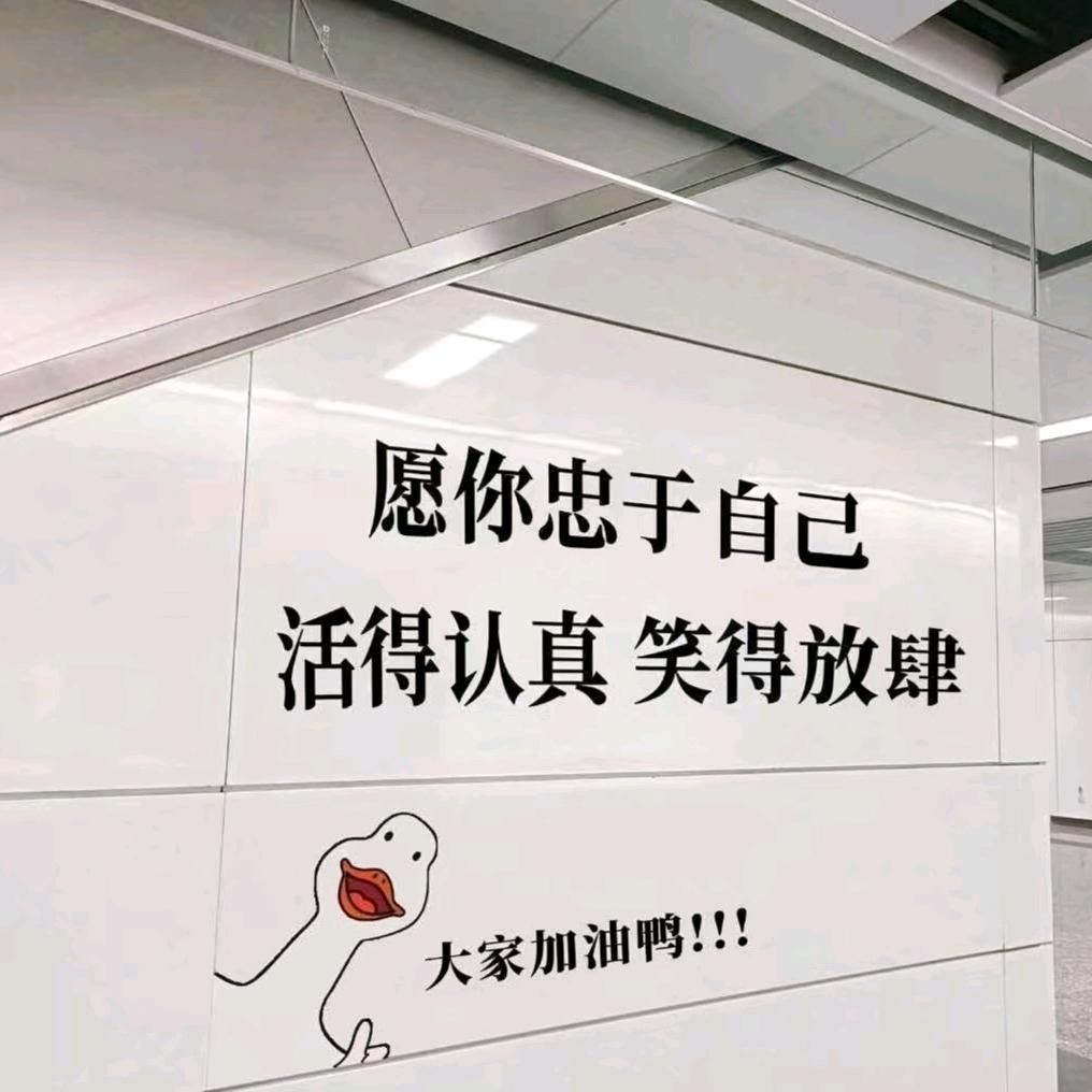 高冷范
