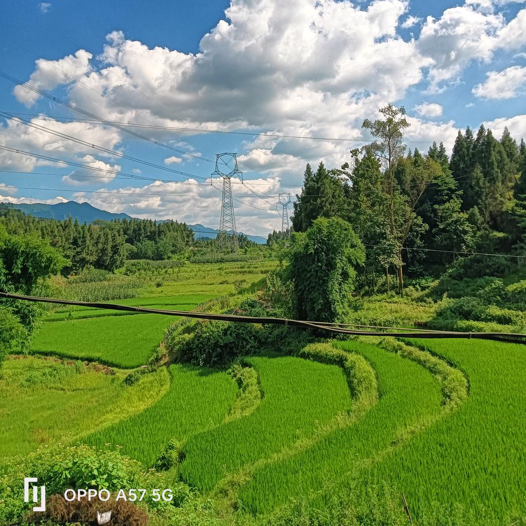 为李停刘