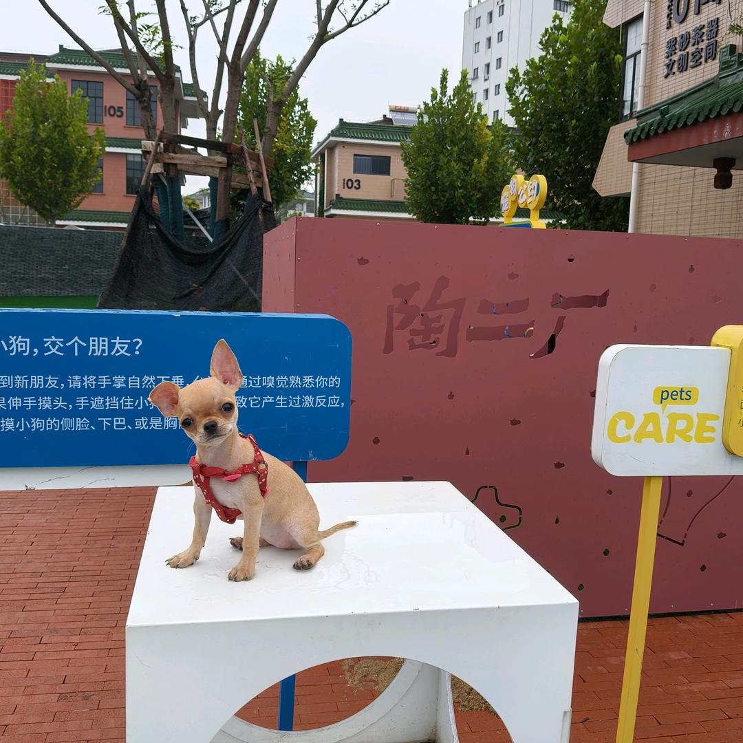 一心一意