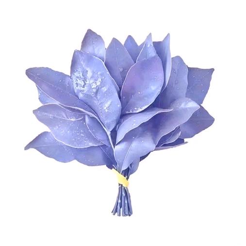 荔枝.