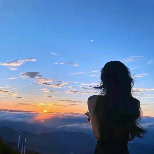 ᴴʸᵀ叶子不吃了