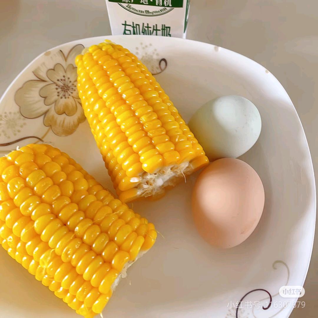 白鸽
