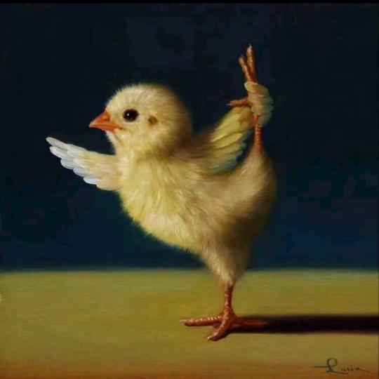 皖L-小王的室友