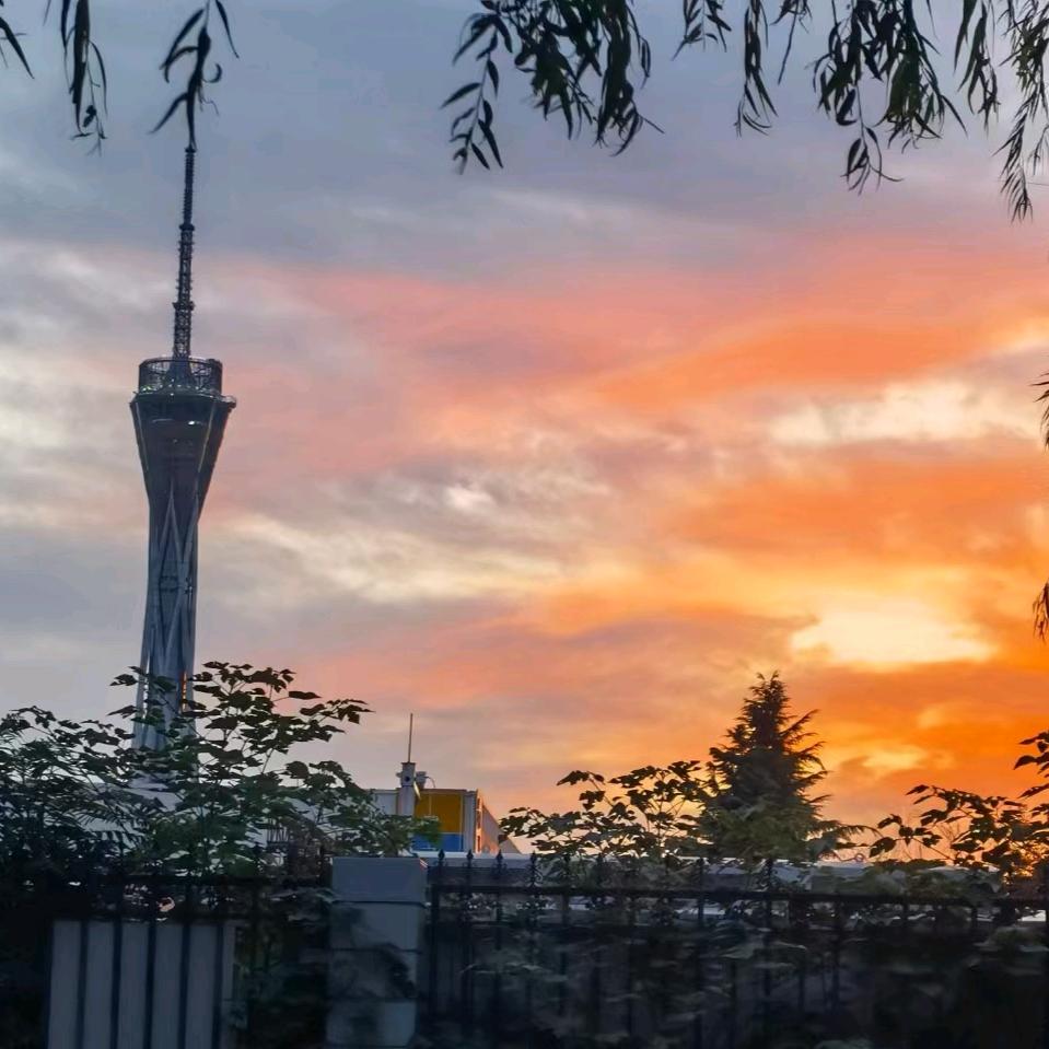 不吃香菜的侯ᰔᩚᰔᩚ