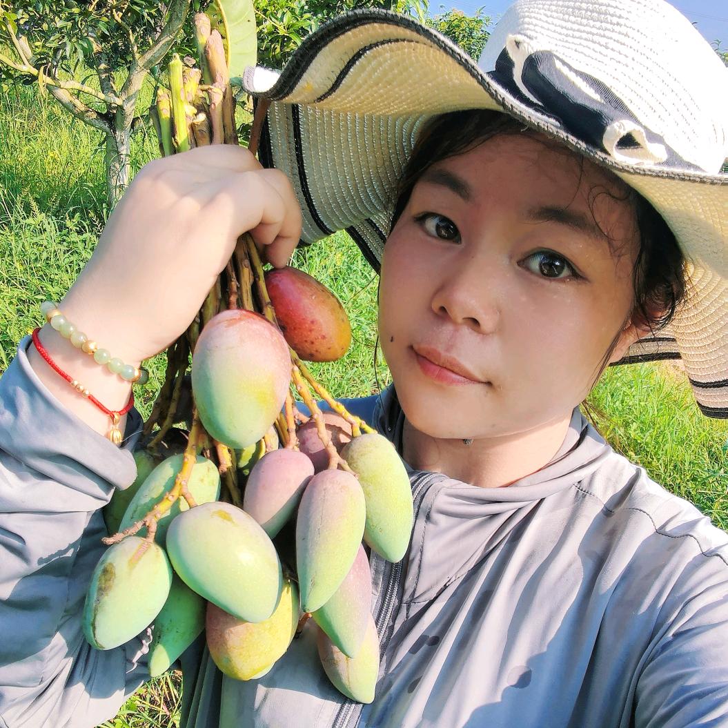 🥭卖芒果的农姐姐🥭