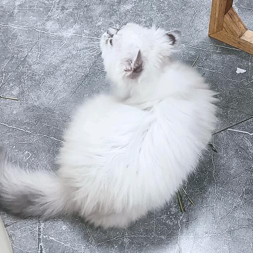 宝宝肚肚打雷了