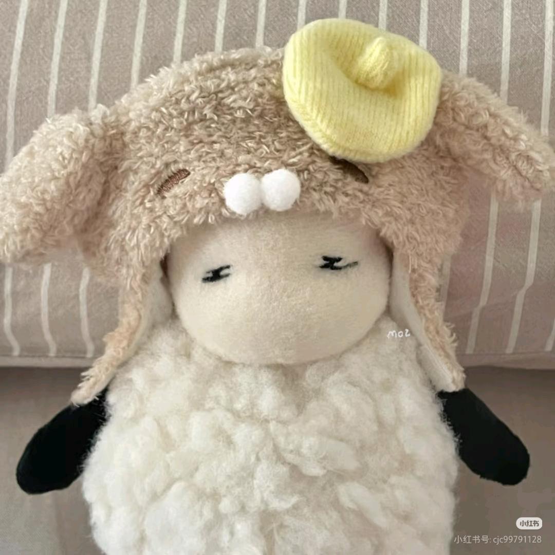 胡萝卜丸，叮～