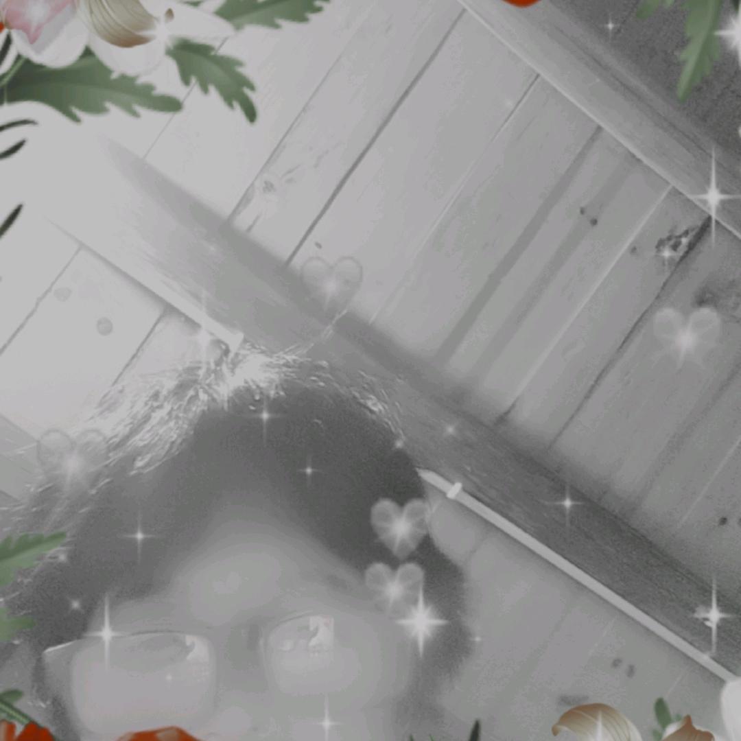 花十丶一1/一1一1一1，√一好月圆杨梅