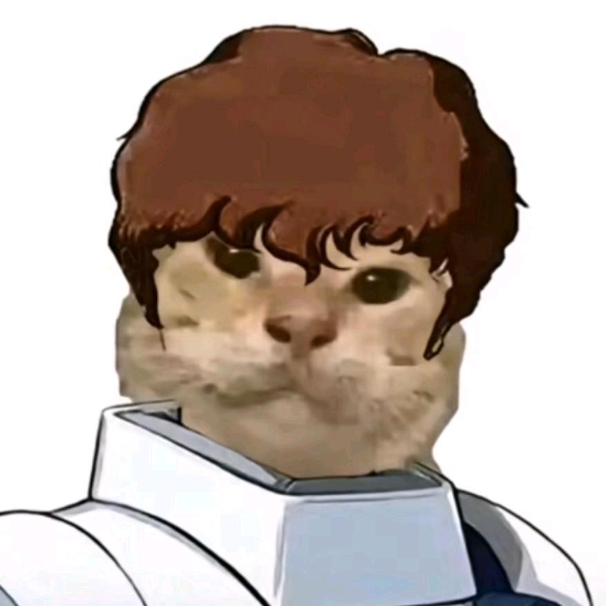毕涵