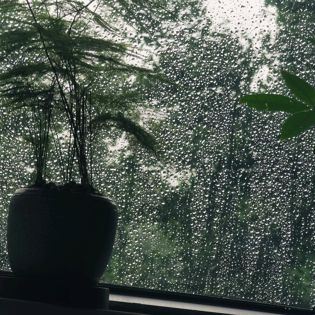 一粒沙子