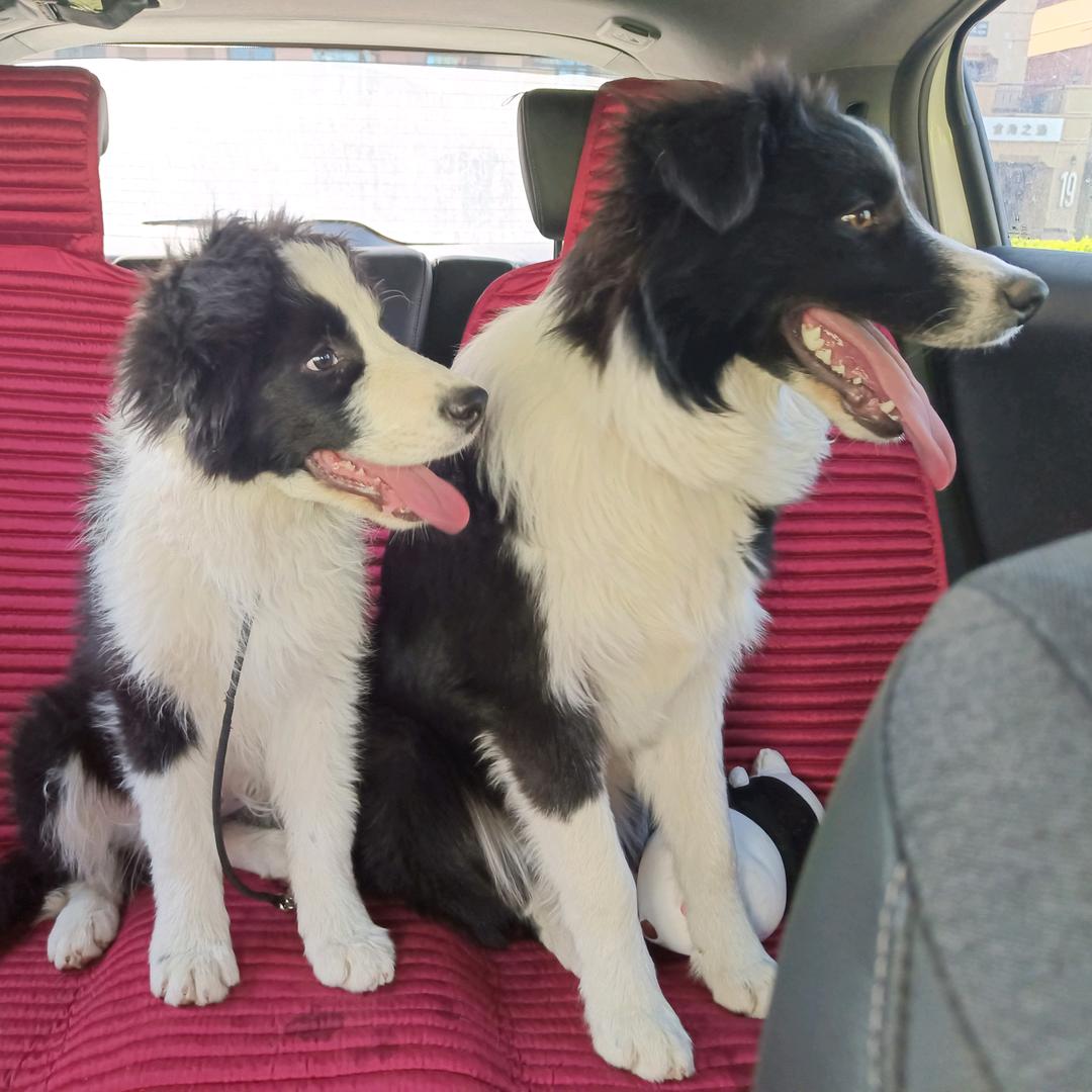 长期和纸打交道的人-工程资料