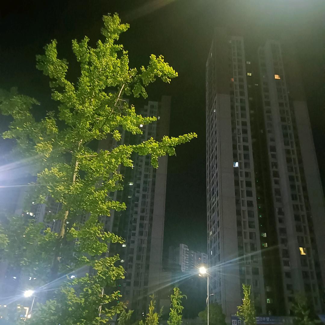 ໑ຼ້ₒ₂₃ོ萬法宗壇