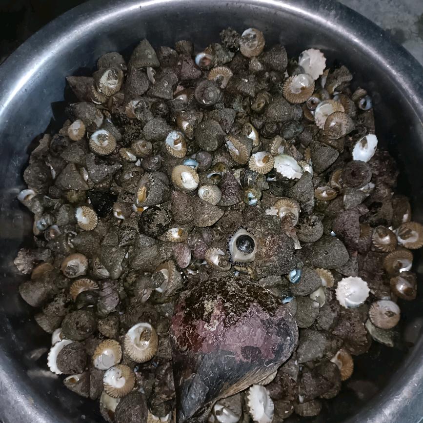 我們曾在一起瘋