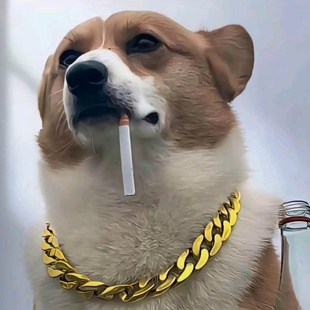 毅狗就叫唤o(´^｀)o