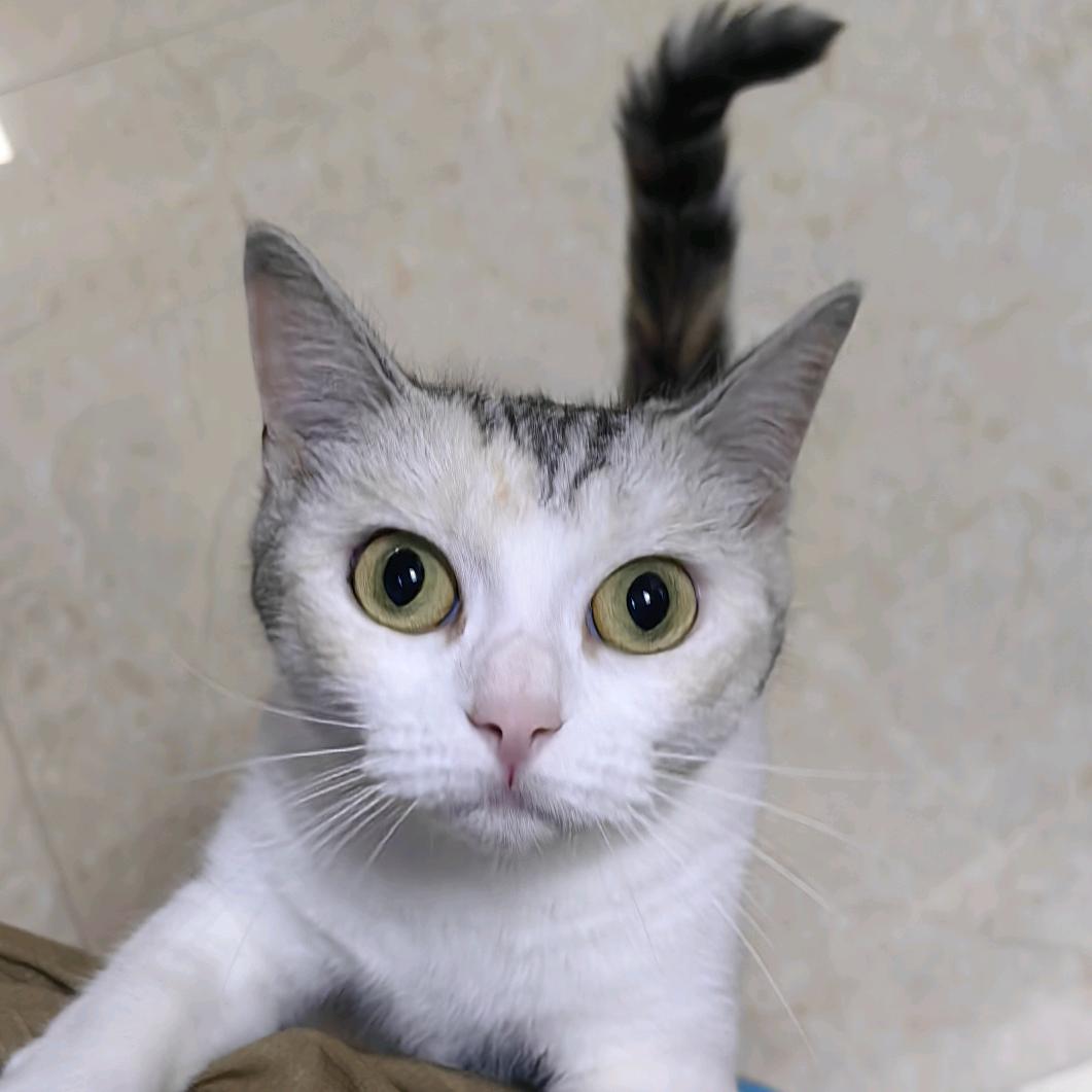 知微
