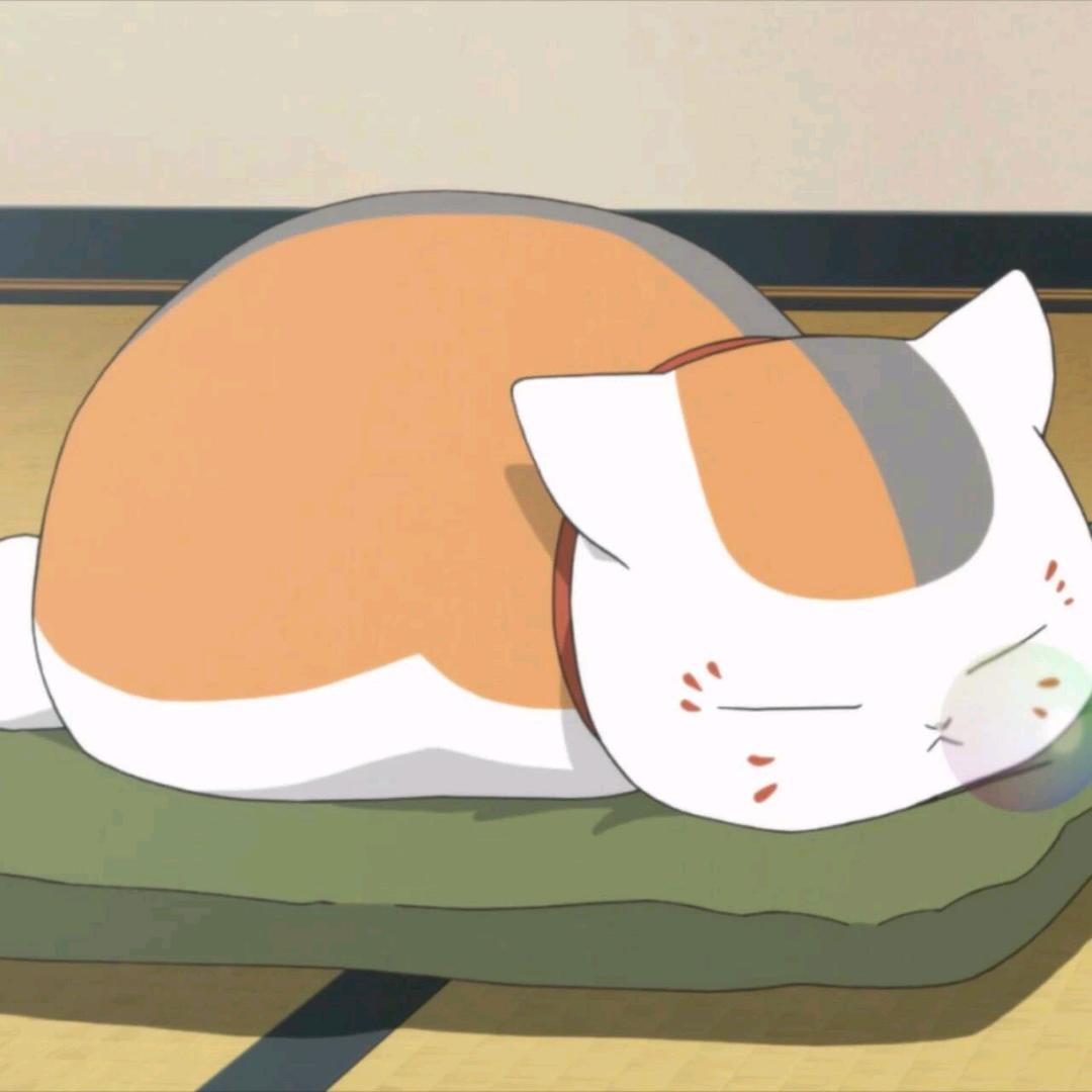 zzzz