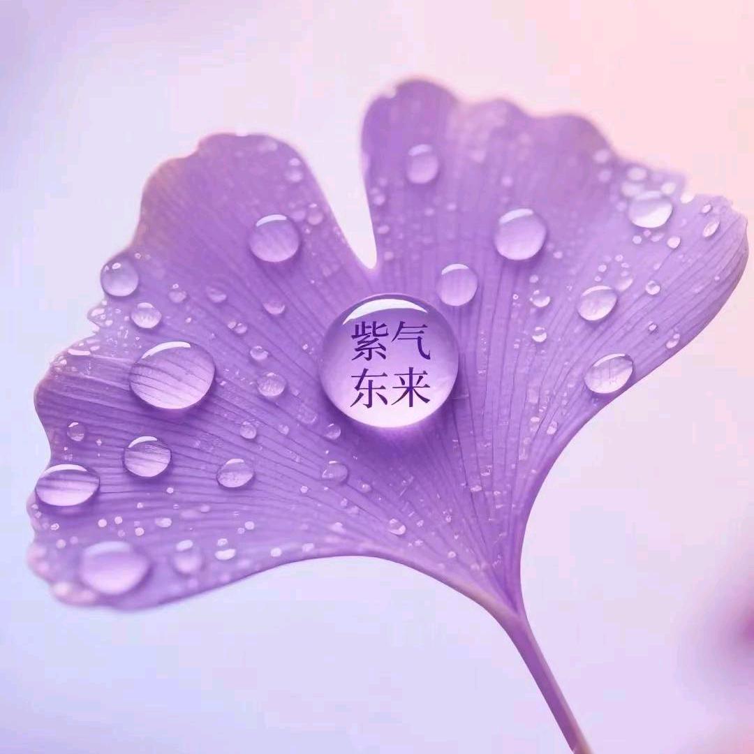 ঞ🍒好运꧔ꦿ᭄加满