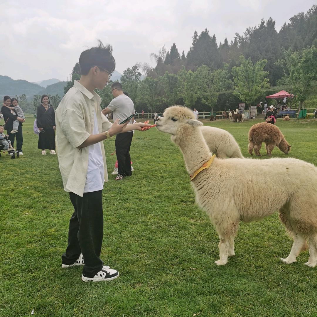 疯华正貌
