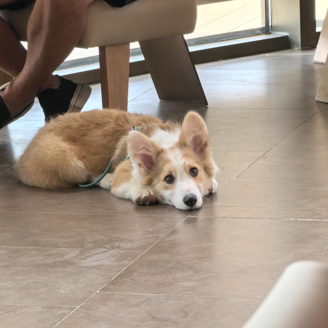 🌈🌈🌈🌈明天火