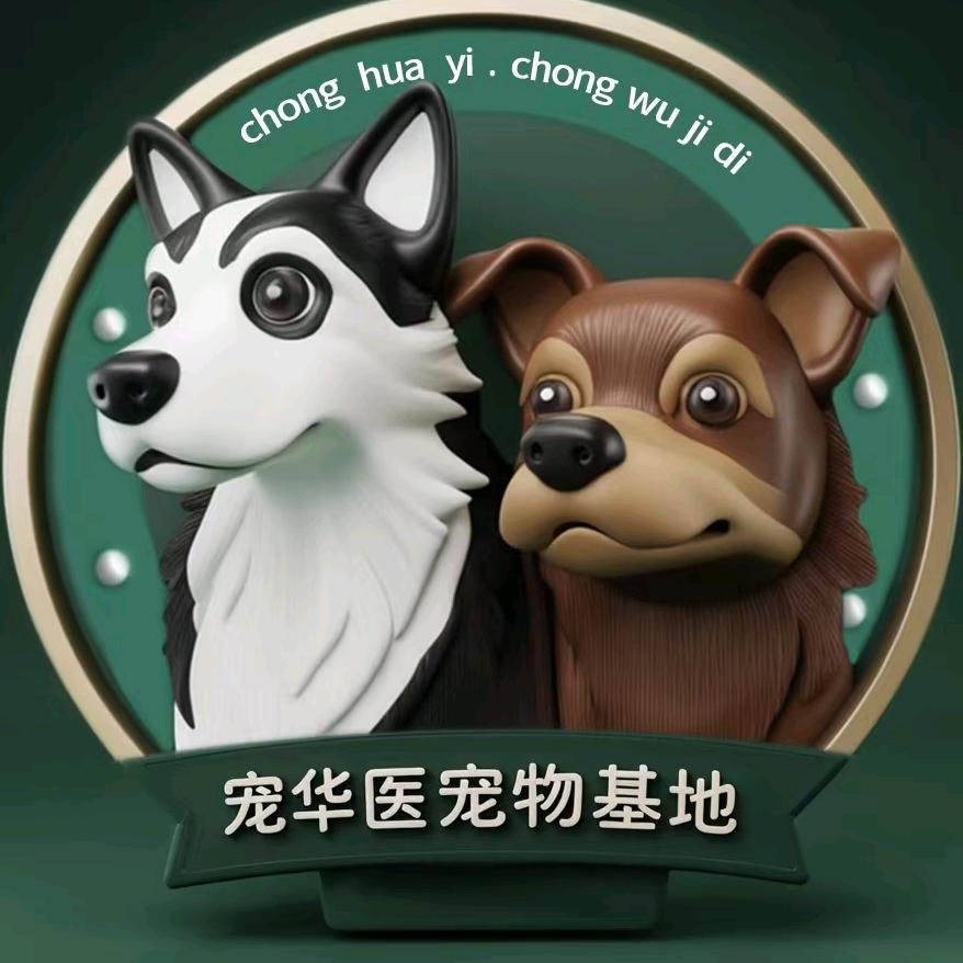 沈阳宠华医宠物梓萱