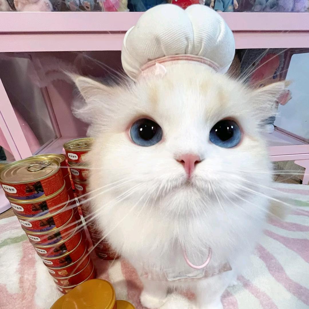 西瓜汁⭐