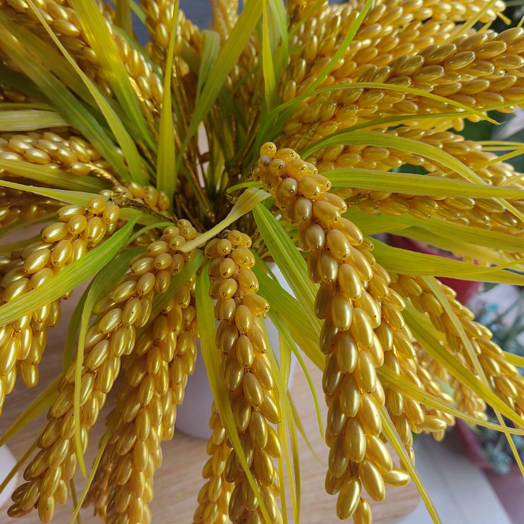 心心—相印……